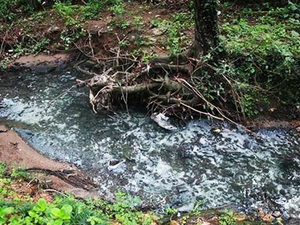 含毒性废水